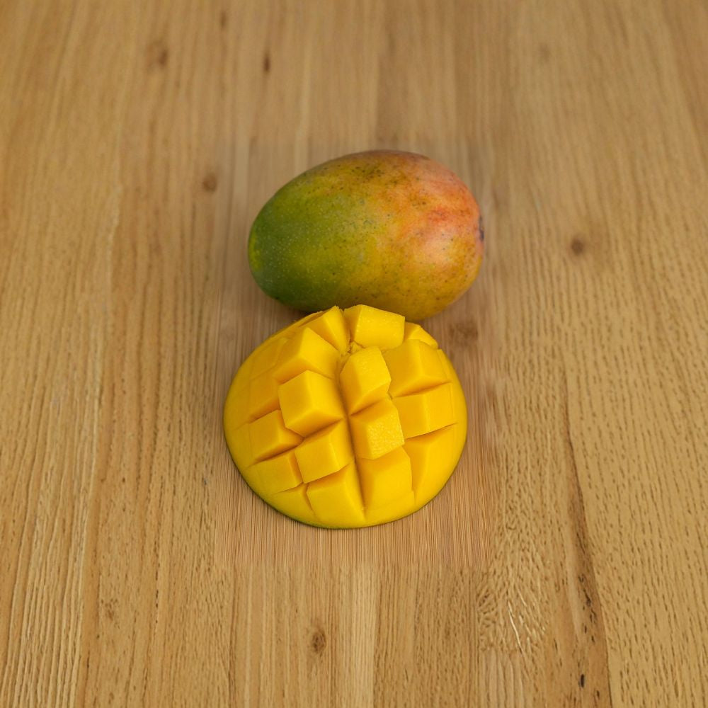 Keitt Mango Tree – Mangifera indica Grafted Live Tree | USDA Certified | Premium Late-Season Variety  Large Sweet Fruit | Smooth Texture | Collector Favorite