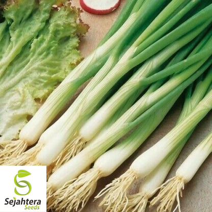 White Lisbon Onion Seeds - 500+ Heirloom, Non-GMO, Bunching & Fresh