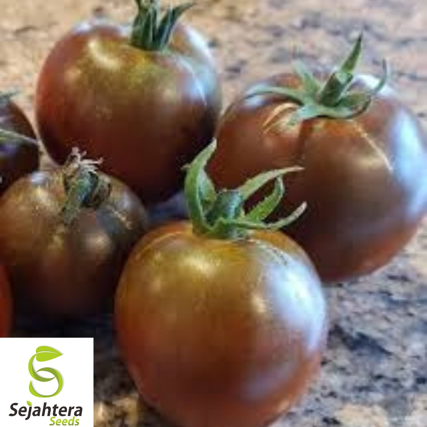 30+ Black Prince Tomato Seeds - Heirloom, Organic, Non-GMO, Rare & Rich Flavor