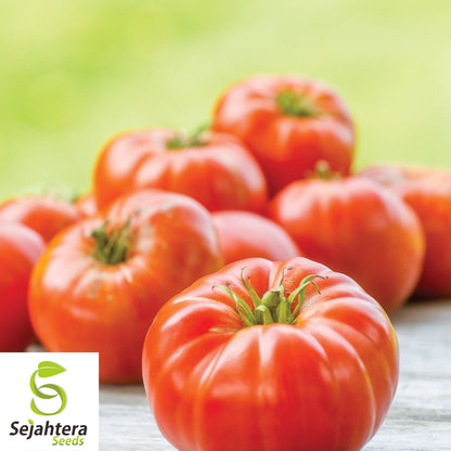 Mortgage Lifter Tomato Seeds - 30+ Heirloom, Organic, Non-GMO & Large