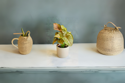 Syngonium Strawberry Cream Plant 6" Pot | Goosefoot Plant | Nephthytis | Indoor Houseplant | Easy Care Houseplant