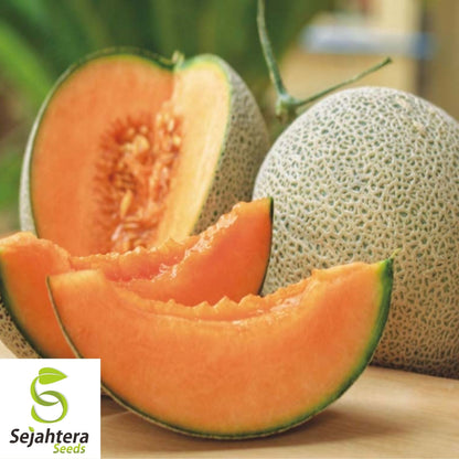 Planters Jumbo Cantaloupe Seeds 50+ | Sweet Muskmelon Fruit NON-GMO USA