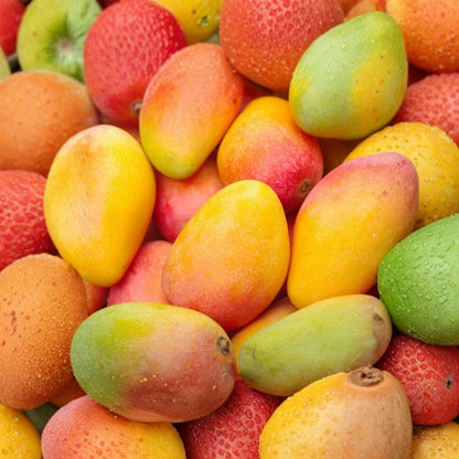 Valencia Pride Mango Tree – Mangifera indica Grafted Live Tree | 1–2 Feet Tall | Ready for Transplant  Fast Growing | Large Sweet Fruit | Florida Favorite