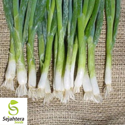 200+ Tokyo Long White Onion Seeds - Bunching Scallions, Non-GMO Vegetable