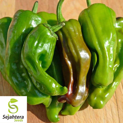 25 Greek Pepperoncini Sweet Pepper Seeds - Non-GMO, Mild & Flavorful