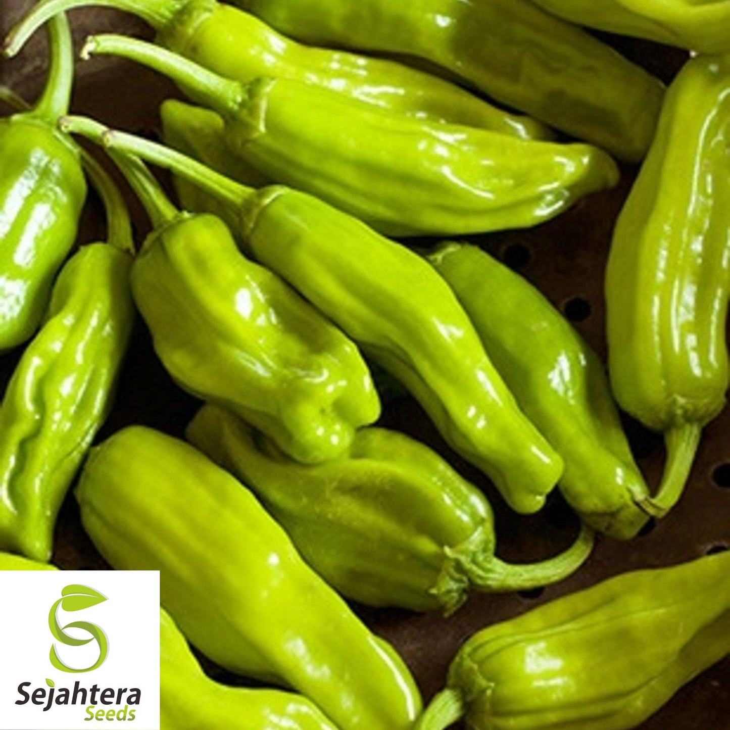 25 Greek Pepperoncini Sweet Pepper Seeds - Non-GMO, Mild & Flavorful