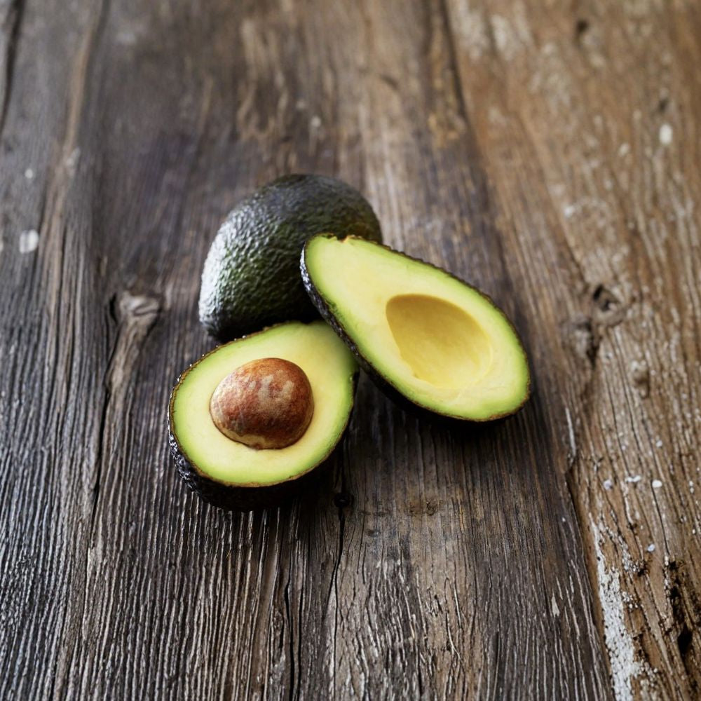 Hass Avocado Tree Seedling – Persea americana  Live Tropical Starter Plant | Healthy Young Tree USDA Certified • Ready to Grow