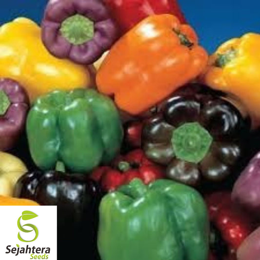 30+ Rainbow Bell Pepper Seeds - Heirloom, Non-GMO, Colorful 7-Variety Mix