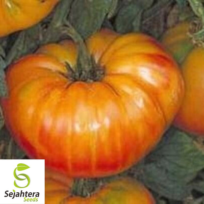 Pineapple Tomato Seeds - 120+ Heirloom, Organic, Non-GMO & Rare