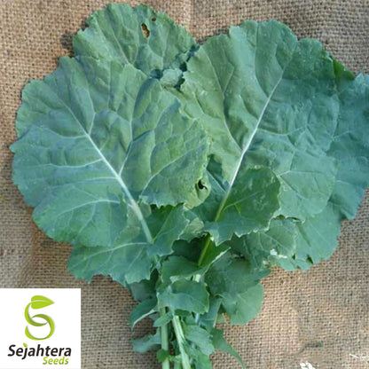 400+ Georgia Collard Seeds - Non-GMO, Heirloom & Nutritious Leafy Green