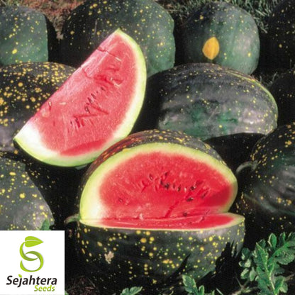 Moon and Stars Red Watermelon Seeds - 10+ Heirloom, Organic, Non-GMO & Juicy