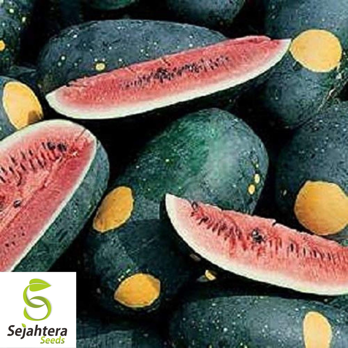 Moon and Stars Red Watermelon Seeds - 10+ Heirloom, Organic, Non-GMO & Juicy