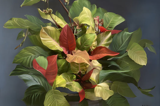 Philodendron McColley's Finale 6" Pot - Tropical Houseplant, Indoor Plant, Philodendron Hybrid, Easy Care Greenery