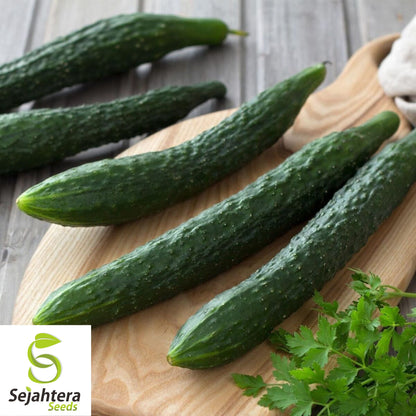 Suyo Long Cucumber Seeds - 100+ Heirloom - Organic & Non-GMO - Rare & Crisp