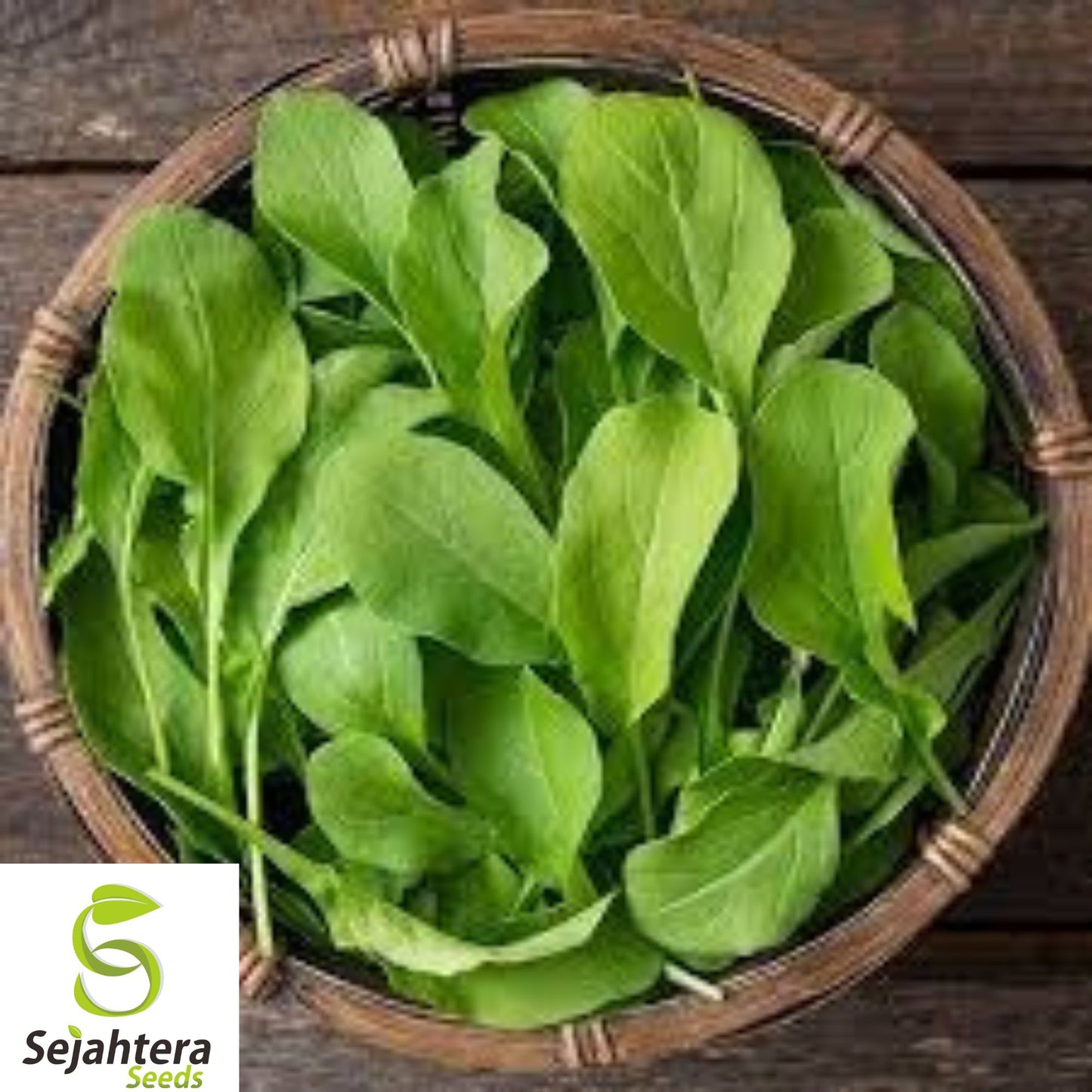 250+ Astro Arugula Seeds - Heirloom, Organic, Non-GMO, Mild & Fast-Growing Green