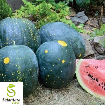 Moon and Stars Red Watermelon Seeds - 10+ Heirloom, Organic, Non-GMO & Juicy