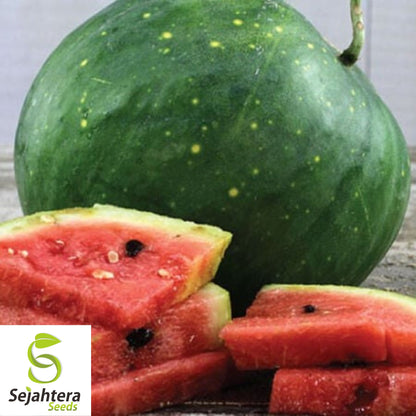 Moon and Stars Red Watermelon Seeds - 10+ Heirloom, Organic, Non-GMO & Juicy