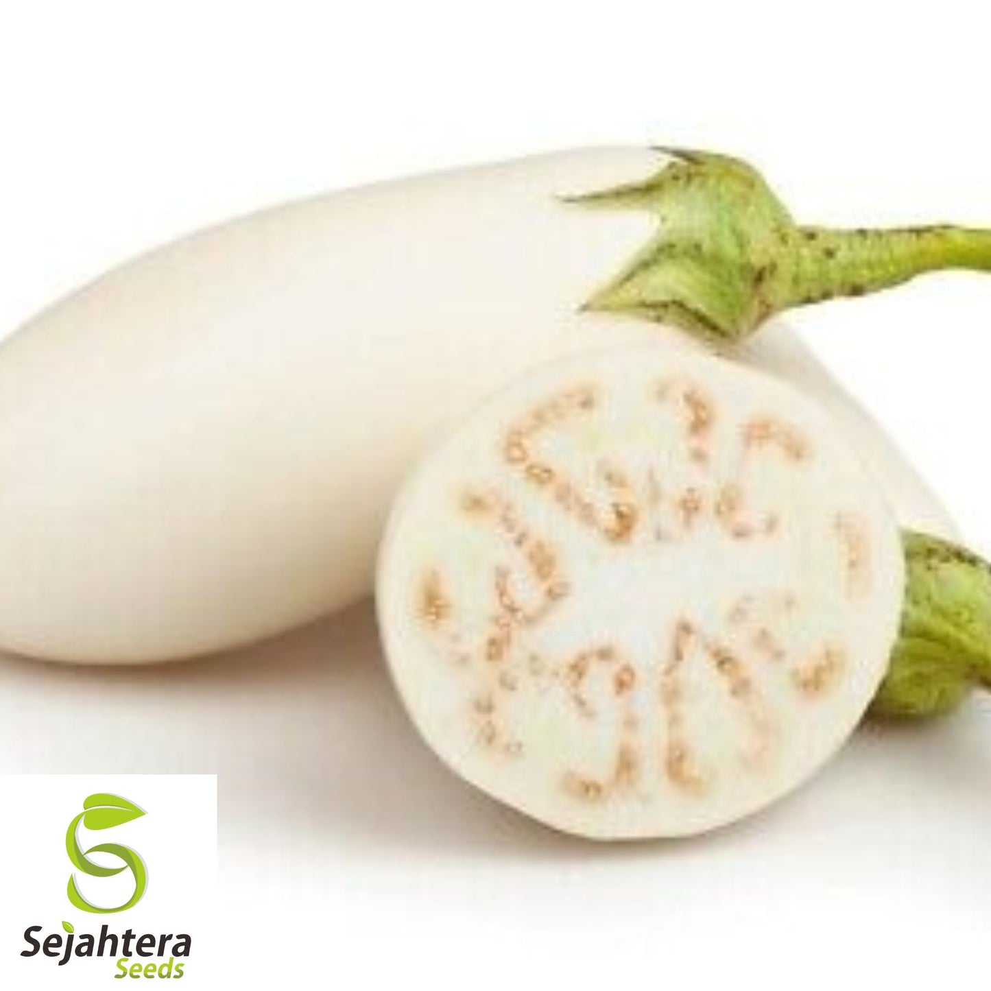 Casper White Eggplant Seeds - 100+ Heirloom, Organic, Non-GMO & Rare