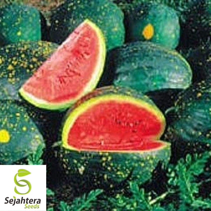 Moon and Stars Red Watermelon Seeds - 10+ Heirloom, Organic, Non-GMO & Juicy