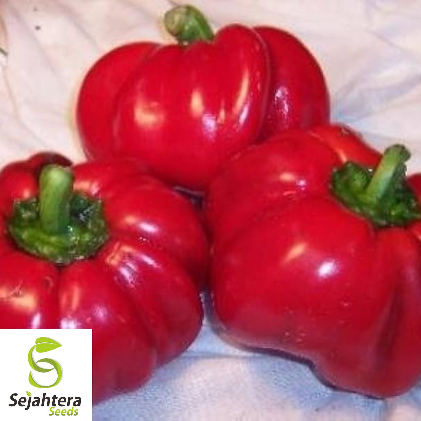 25 Sweet Pimento Pepper Seeds - Non-GMO, Mild & Flavorful Variety