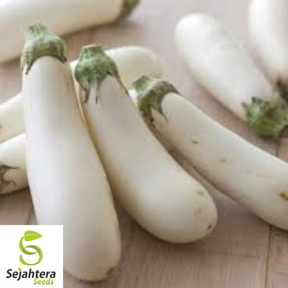Casper White Eggplant Seeds - 100+ Heirloom, Organic, Non-GMO & Rare