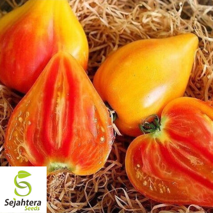 Orange Oxheart Tomato Seeds - 120+ Heirloom, Organic, Non-GMO & Rare