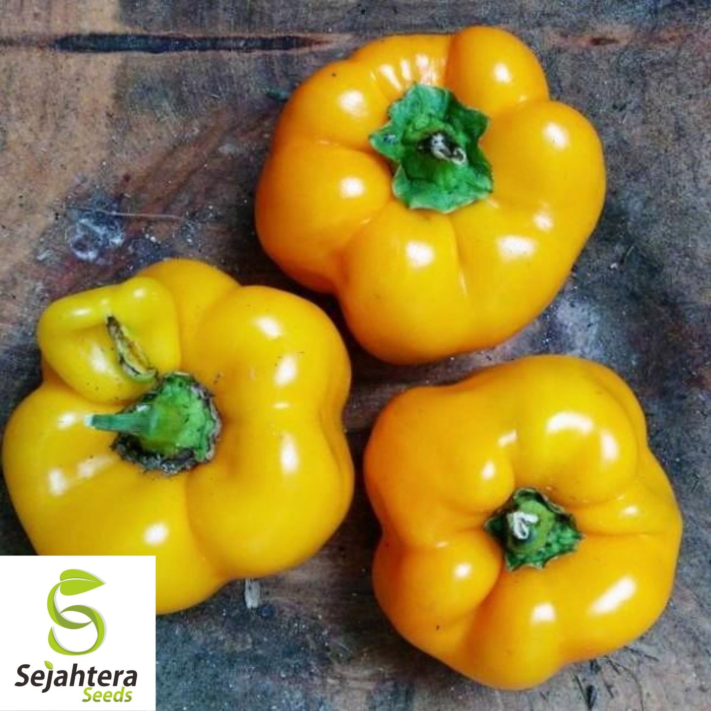 25 Golden California Wonder Pepper Seeds - Non-GMO, Sweet & Vibrant Variety