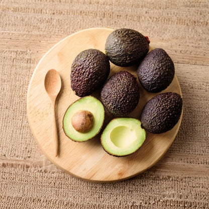 Grafted Hass Avocado Tree – Persea americana  Live Grafted Fruit Tree | 10 Inches – 2 Feet Tall Premium Hass Variety • Healthy Live Plant