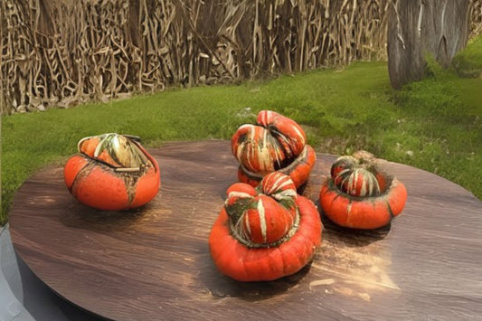 Turban Squash Seeds - 10 Organic Heirloom Seeds - Cucurbita maxima 'Turban' - Winter Squash Variety for Gardening
