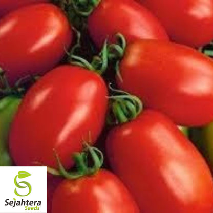 Napoli Tomato Seeds - 120+ Organic Heirloom - Non-GMO & Flavorful - Fresh
