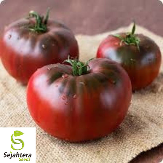 Black Brandywine Tomato Seeds - 10+ Heirloom, Organic, Non-GMO & Fresh