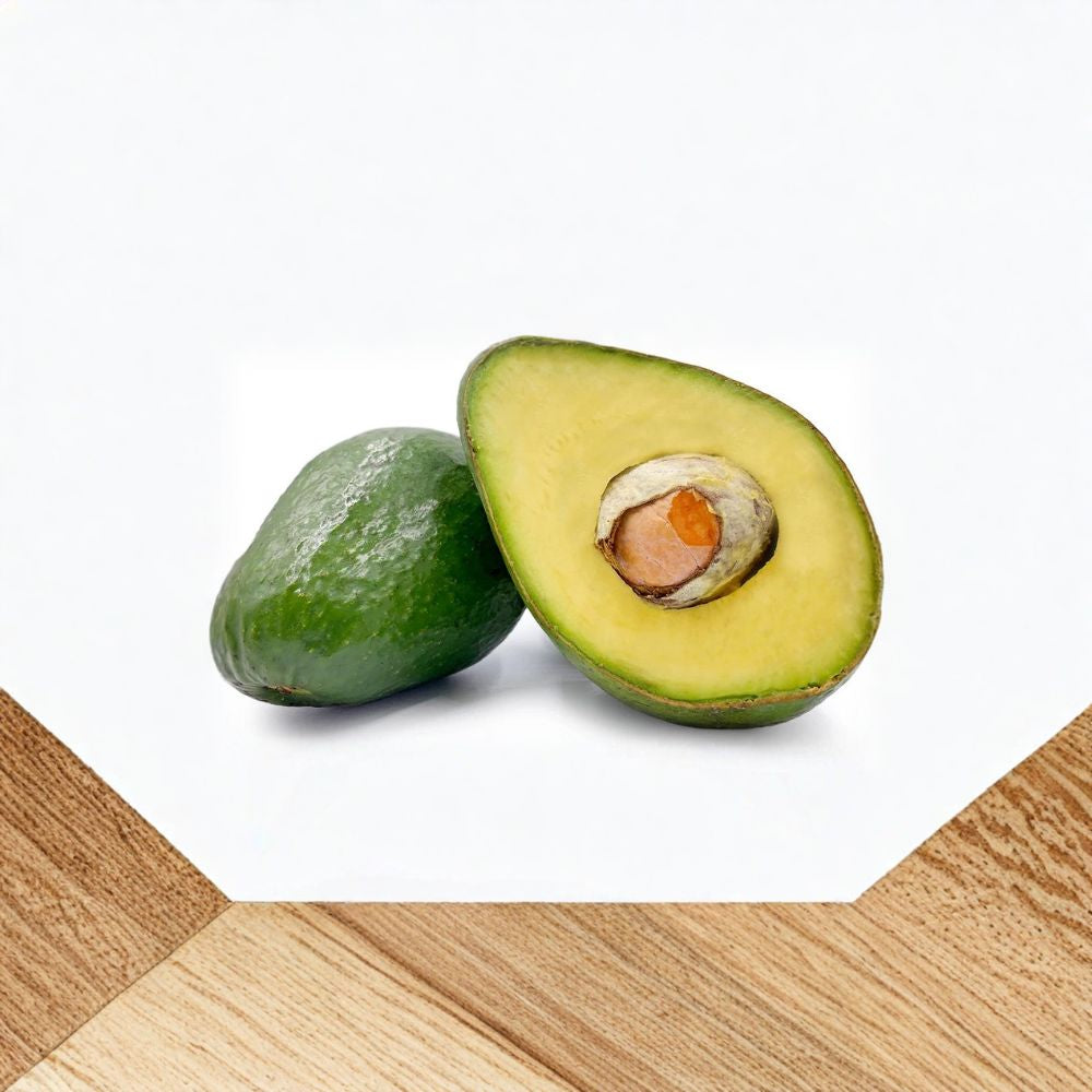 Semil-34 Avocado Tree Seedling – Persea americana  Live Tropical Starter Plant | Healthy Young Tree USDA Certified • Ready to Grow