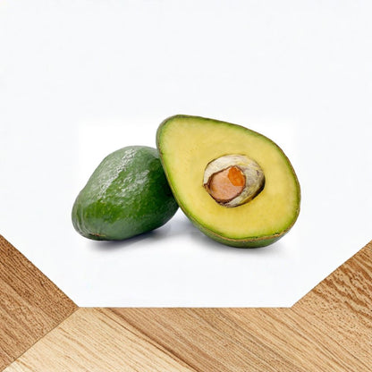 Semil-34 Avocado Tree Seedling – Persea americana  Live Tropical Starter Plant | Healthy Young Tree USDA Certified • Ready to Grow