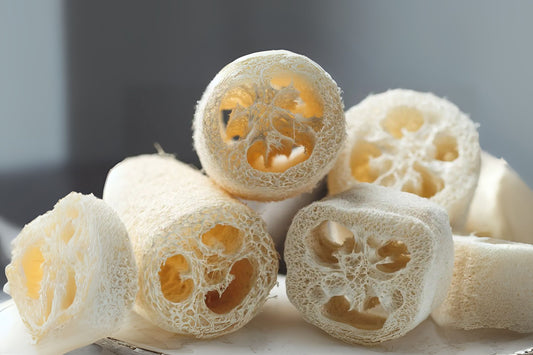 Organic Loofah Seeds - 10 Hand-Collected Luffa Aegyptiaca - Smooth Sponge Gourd for Natural Bath and Kitchen Use
