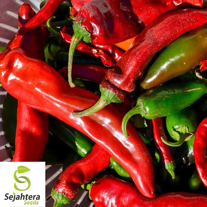 25 New Mexico Sandia Pepper Seeds - Non-GMO, Mild to Medium Heat