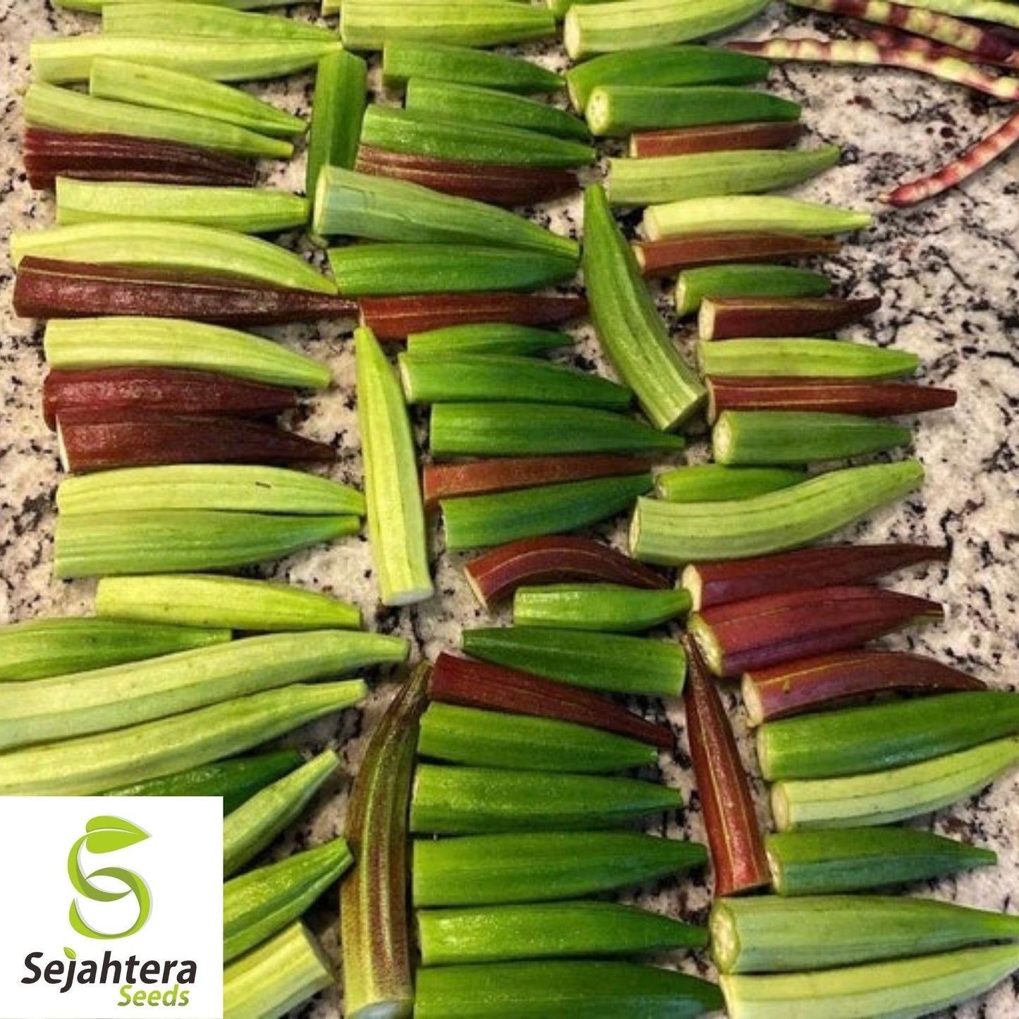 Rainbow Fiesta Okra Seeds 30 Ct | Heirloom Vegetable MIX NON-GMO USA