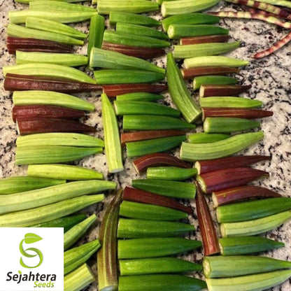 Rainbow Fiesta Okra Seeds 30 Ct | Heirloom Vegetable MIX NON-GMO USA
