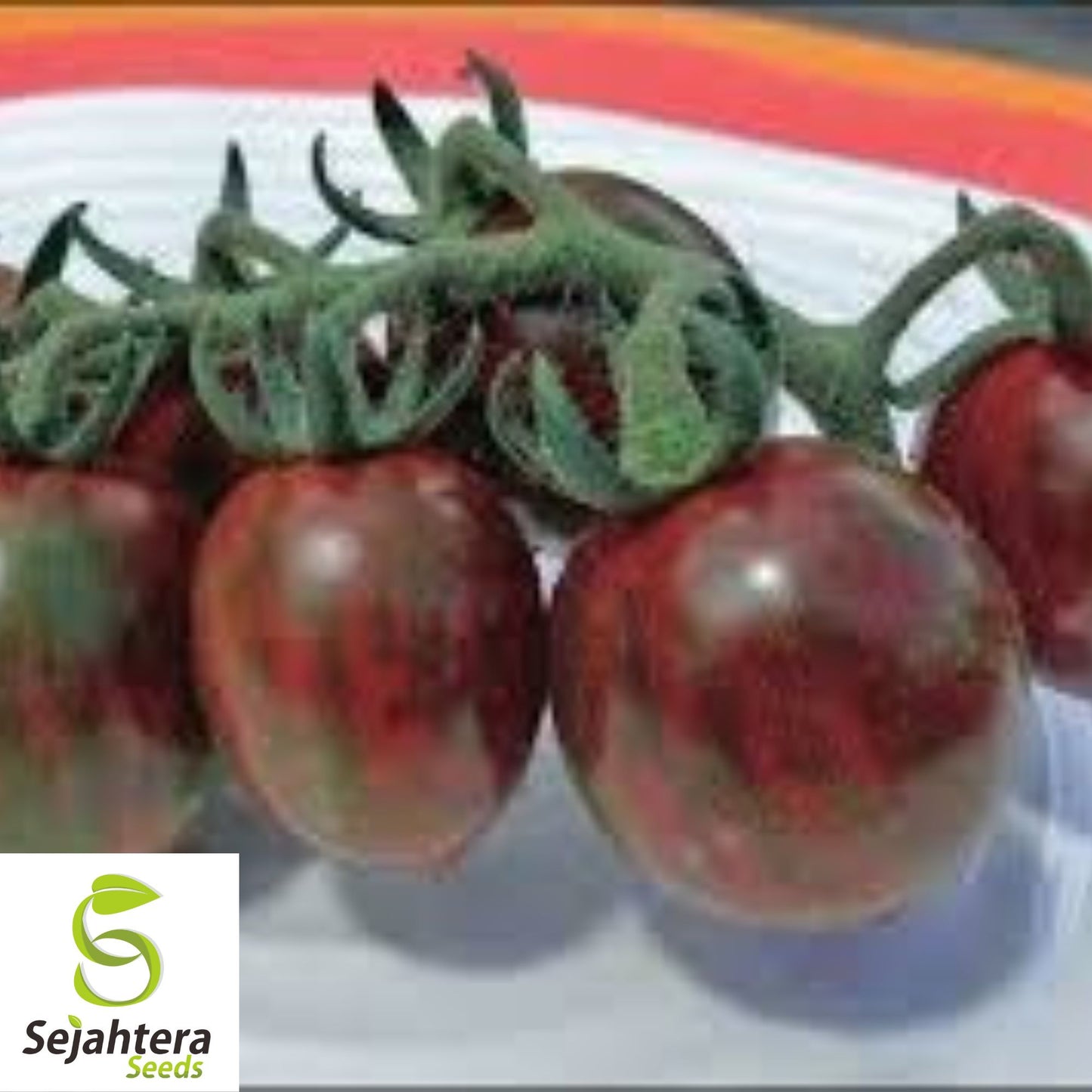 Chocolate Cherry Tomato Seeds - 120+ Heirloom - Super Sweet & Rare - Non-GMO
