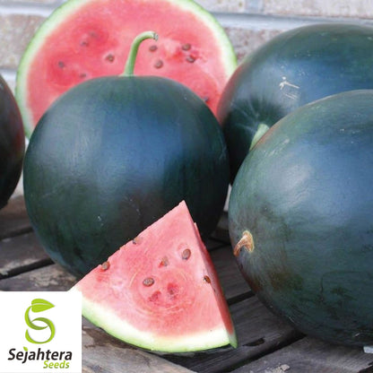 Black Diamond Watermelon Seeds 20 Ct | Large Sweet Fruit Melon NON-GMO USA