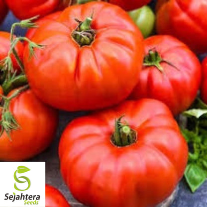 Jersey Tomato Seeds / Tomato Rutgers - 10+ Organic, Non-GMO, Beefsteak & Fresh