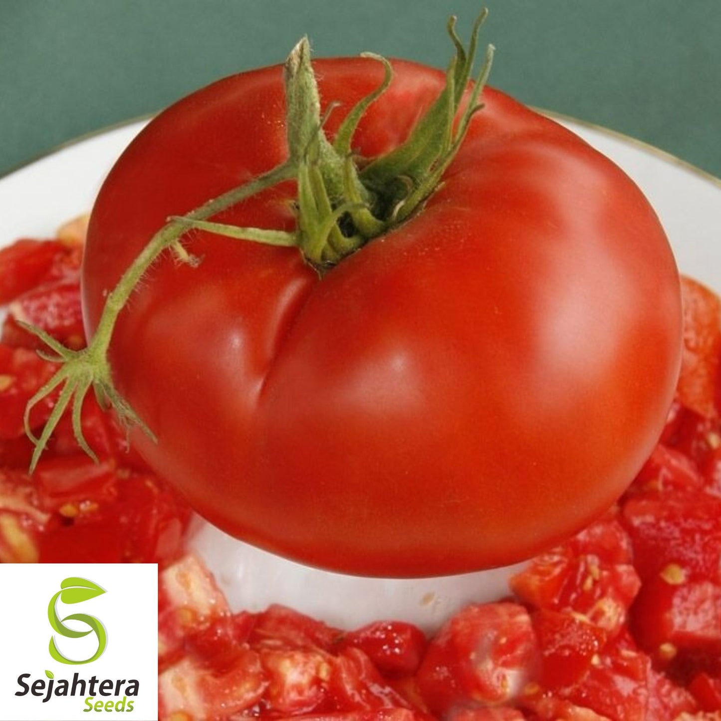 Jersey Tomato Seeds / Tomato Rutgers - 10+ Organic, Non-GMO, Beefsteak & Fresh