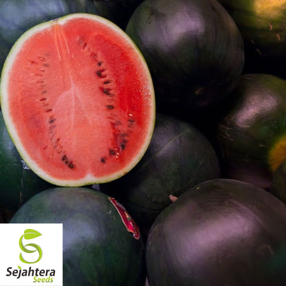 Giant Black Diamond Watermelon Seeds - 30+ Heirloom, Organic, 30-50 lbs & Sweet