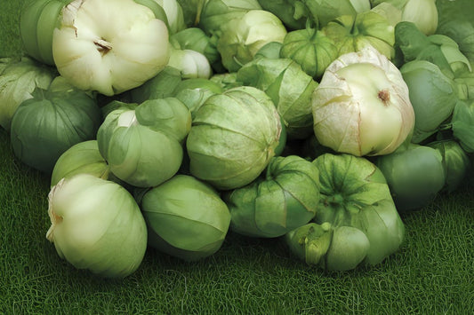 Tomatillo Seeds - 10 Hand Collected Seeds - Miltomate, Mexican Green Tomato, Physalis philadelphica, Physalis ixocarpa