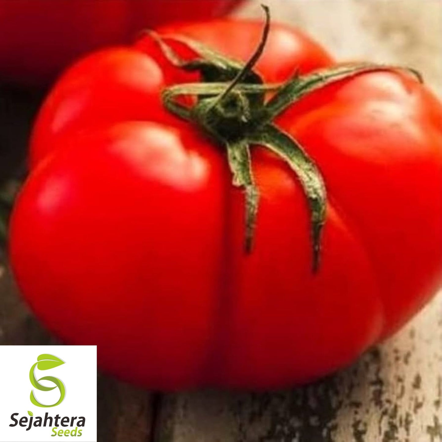 Jersey Tomato Seeds / Tomato Rutgers - 10+ Organic, Non-GMO, Beefsteak & Fresh