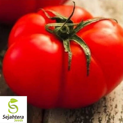 Jersey Tomato Seeds / Tomato Rutgers - 10+ Organic, Non-GMO, Beefsteak & Fresh