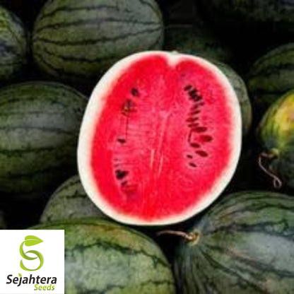 Giant Black Diamond Watermelon Seeds - 30+ Heirloom, Organic, 30-50 lbs & Sweet