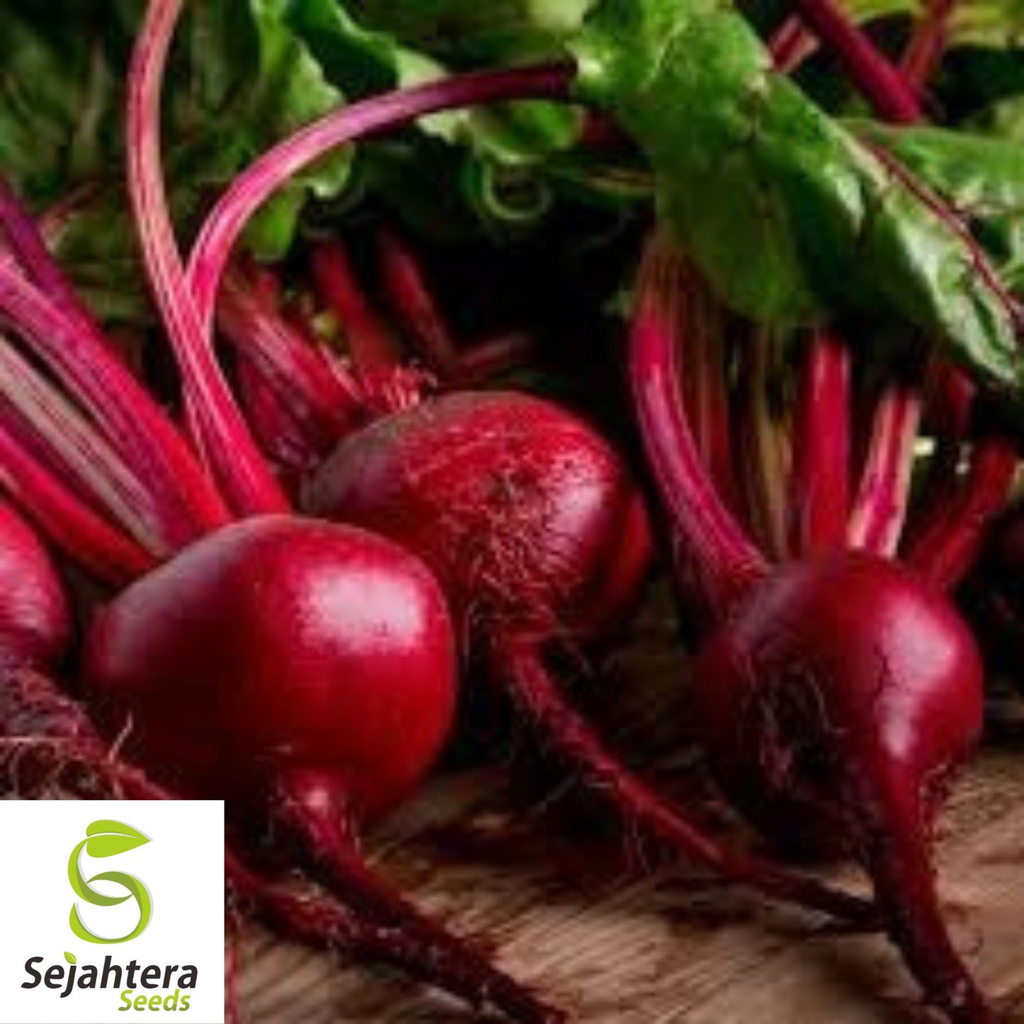 Detroit Dark Red Beet Seeds - 250+ Organic Heirloom - Sweet & Non-GMO