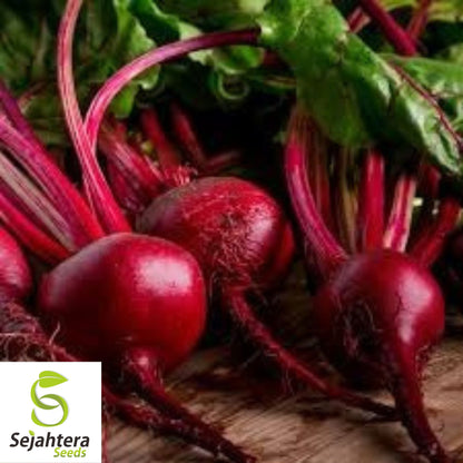 Detroit Dark Red Beet Seeds - 250+ Organic Heirloom - Sweet & Non-GMO