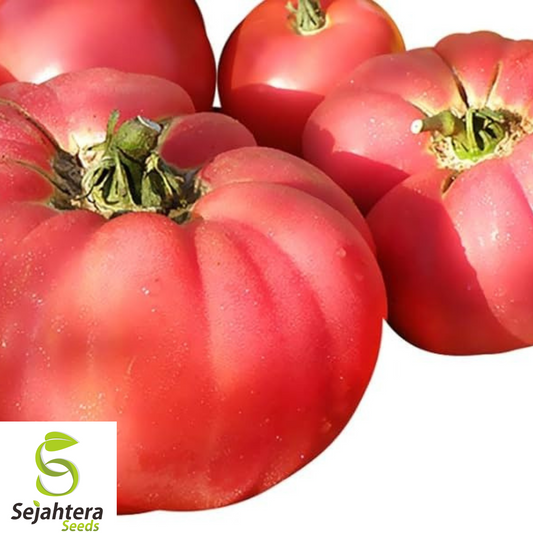 30+ German Johnson Tomato Seeds - Heirloom, Large, Juicy & Flavorful Beefsteak