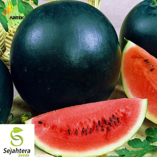 120+ Giant Black Diamond Watermelon Seeds - Heirloom, Organic, 30-50 lbs, Juicy & Sweet